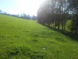 herfstwandeling_langs_de_gulp_3_20141102_1772243375