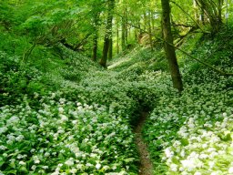 omgeving_1_20120220_1437588962