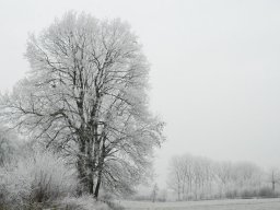 omgeving_5_20120220_1000187416