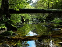 omgeving_7_20120220_1484601836