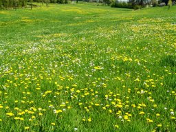 omgeving_8_20120220_1899864963